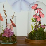 DIY hübsches Schmetterlings-Terrarium als Tischdeko Deko-Kitchen