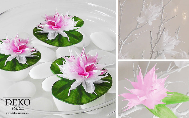 DIY Blüten und Seerosen aus Krepppapier Deko-Kitchen