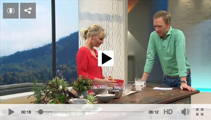 DIY: Schalen aus Beton - Beitrag Kaffee oder Tee SWR Fernsehen