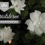 DYI: Christsterne aus Krepppapier Deko-Kitchen