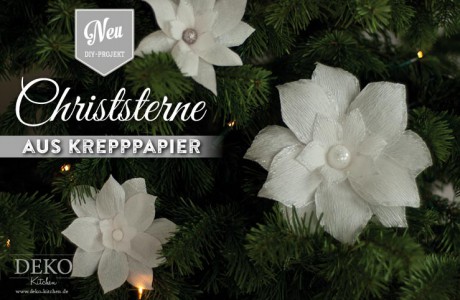 DYI: Christsterne aus Krepppapier Deko-Kitchen