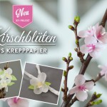 DIY: Kirschblüten aus Krepppaper von Deko-Kitchen