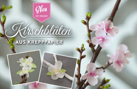 DIY: Kirschblüten aus Krepppaper von Deko-Kitchen