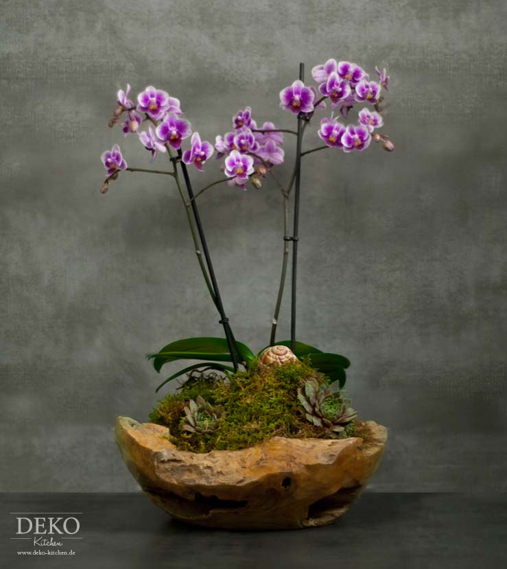 DIY: Orchideen effektvoll dekorieren Deko-Kitchen