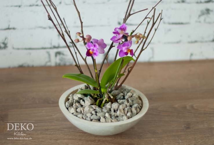 DIY: Orchideen effektvoll dekorieren Deko-Kitchen