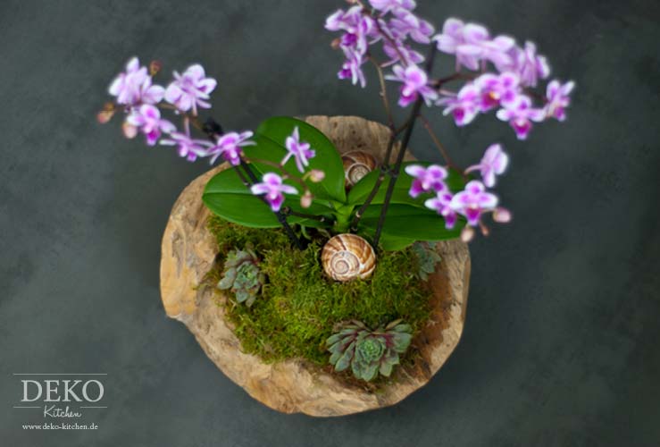 DIY: Orchideen effektvoll dekorieren Deko-Kitchen