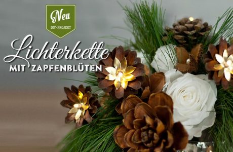 DIY: Weihnachtliche Lichterkette mit Kiefernzapfen Deko-Kitchen