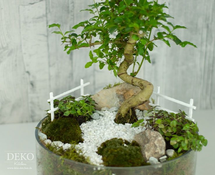 DIY: süßer Miniatur-Garten als Frühlingsdeko für den Tisch Deko-Kitchen