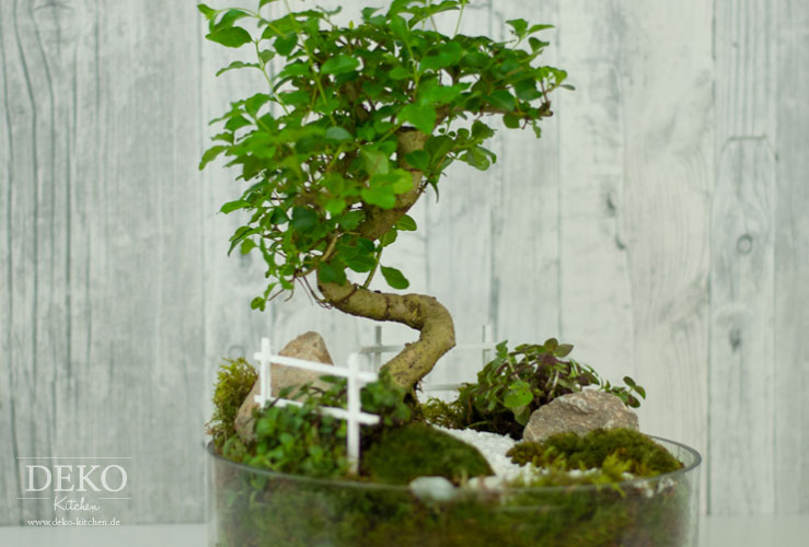 DIY: süßer Miniatur-Garten als Frühlingsdeko für den Tisch Deko-Kitchen