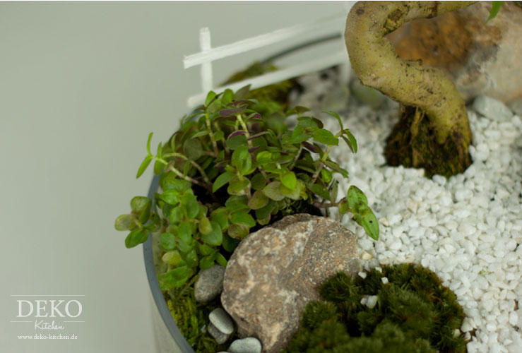 DIY: süßer Miniatur-Garten als Frühlingsdeko für den Tisch Deko-Kitchen