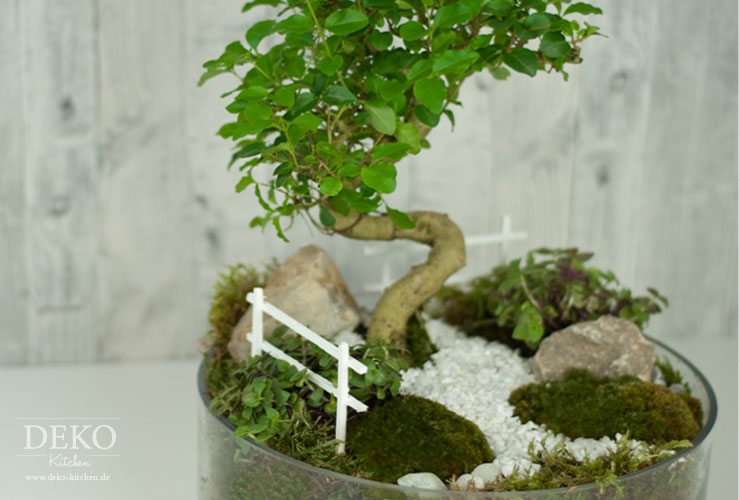 DIY: süßer Miniatur-Garten als Frühlingsdeko für den Tisch Deko-Kitchen