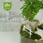 DIY: süßer Miniatur-Garten als Frühlingsdeko für den Tisch Deko-Kitchen