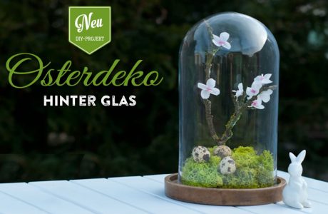 DIY: hübsche Osterdeko unter einer Glasglocke Deko-Kitchen