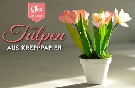 DIY: hübsche Tulpen aus Krepppapier für Eure Frühlingsdeko Deko-Kitchen