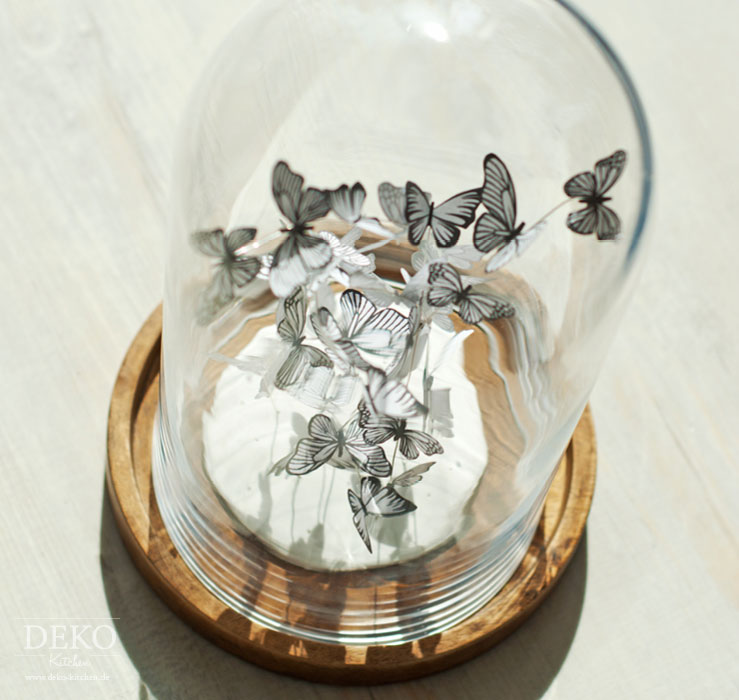 DIY: süßer Schmetterlingsschwarm unter Glas Deko-Kitchen