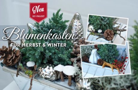 DIY: Blumenkästen für Herbst & Winter dekorieren