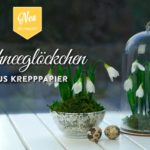 DIY: süße Frühlingsdeko mit Schneeglöckchen Deko-Kitchen