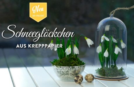 DIY: süße Frühlingsdeko mit Schneeglöckchen Deko-Kitchen