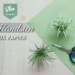 DIY: süße Tillandsien aus Papier Deko-Kitchen