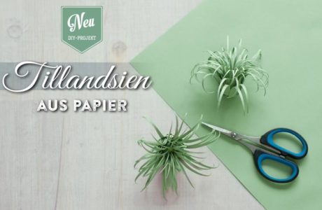 DIY: süße Tillandsien aus Papier Deko-Kitchen