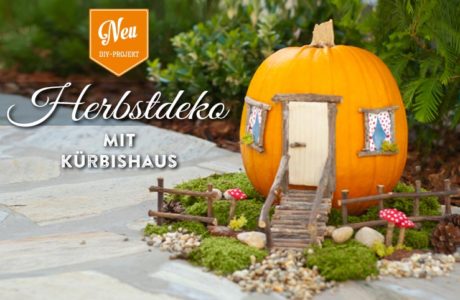 DIY: Herbstdeko mit süßem Kürbis-Haus für Kinder Deko-Kitchen