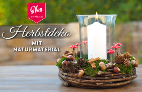 DIY: Herbstdeko mit Naturmaterial Deko-Kitchen