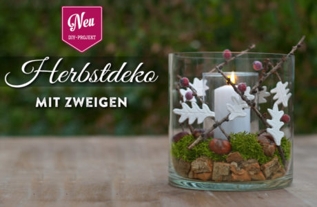 DIY: ausgefallene Herbstdeko für den Tisch Deko-Kitchen