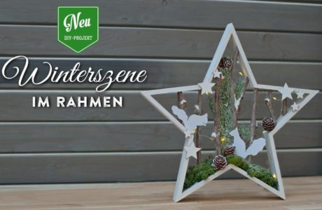 DIY: hübsche Weihnachtsdeko mit Winterszenen in Sternrahmen Deko-Kitchen