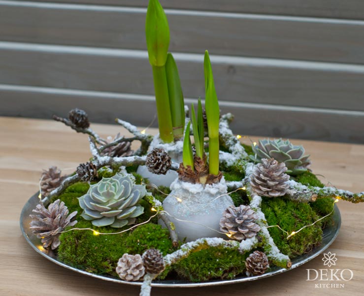 DIY: Amaryllis in Wachs gießen und wunderschön dekorieren Deko-Kitchen