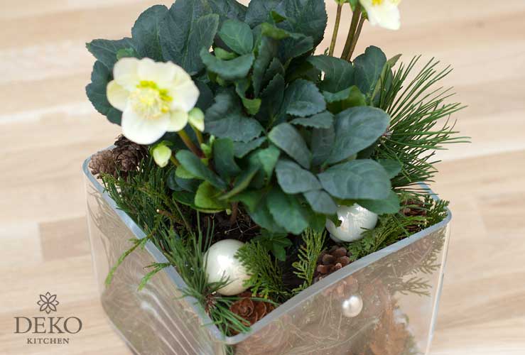 DIY: Christrosen effektvoll in Szene setzen Deko-Kitchen