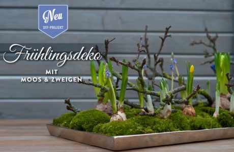 DIY: wunderschöne Osterdeko mit Moos & Zweigen Deko-Kitchen