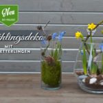 DIY: süße Frühlingsdeko mit Schmetterlingen Deko-Kitchen