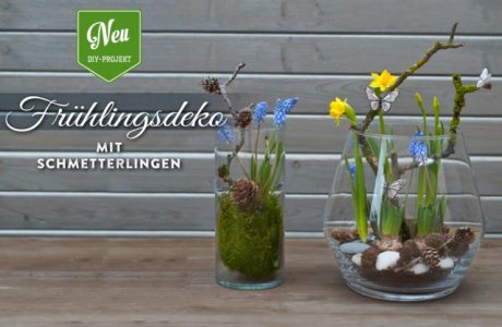 DIY: süße Frühlingsdeko mit Schmetterlingen Deko-Kitchen