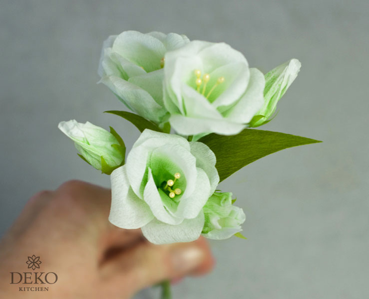 DIY: traumhafte Lisianthus-Blüten aus Krepppapier Deko-Kitchen