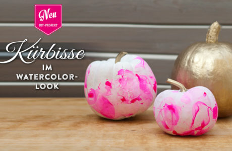 DIY: coole Herbstdeko mit Kürbissen im Watercolor-Look Deko-Kitchen