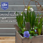 Blumenkasten mit Frühlingsdeko