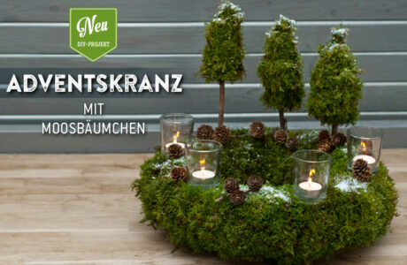 DIY: natürlicher Adventskranz mit Moosbäumchen