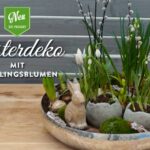 Deko-Kitchen: DIY natürliche Osterdeko mit Beton-Ostereiern