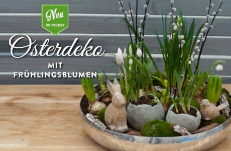 Deko-Kitchen: DIY natürliche Osterdeko mit Beton-Ostereiern
